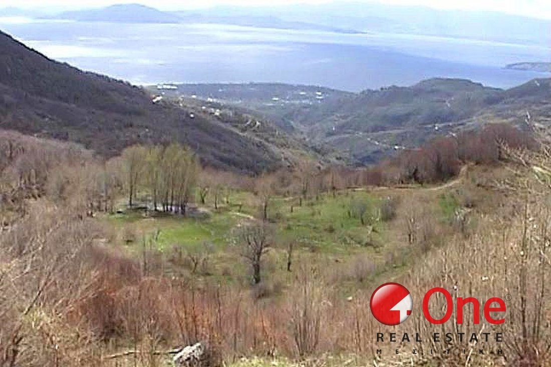 Land in Volos, Thessaly and Central Greece, Greece 2 - 17930856
