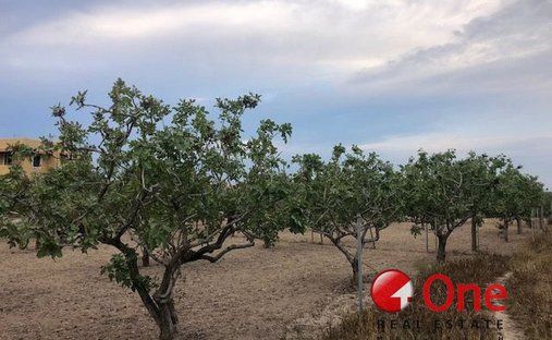 Terrain en Égine, Attique, Grèce 1