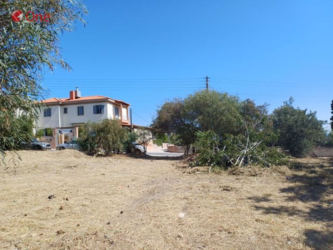 Land in Aegina, Attica, Greece 2 - 17931685