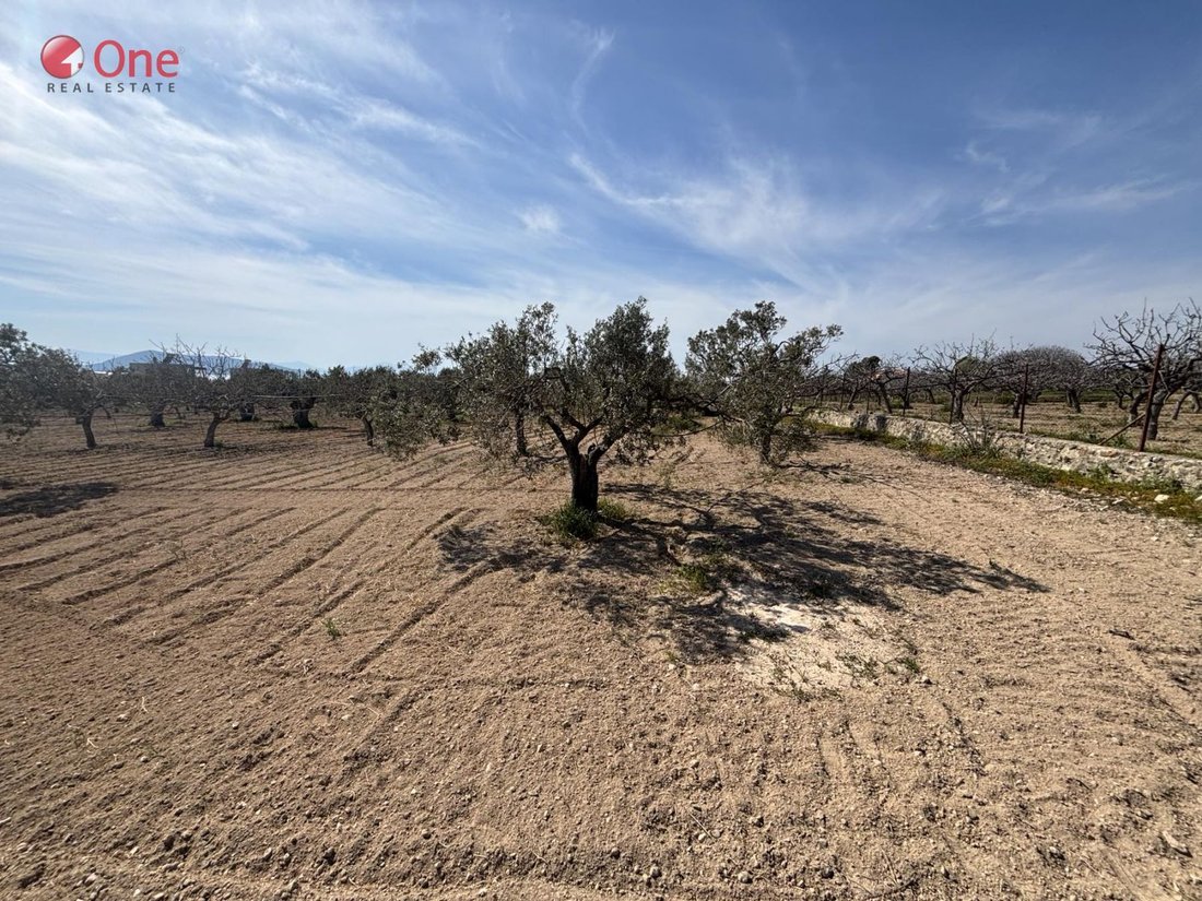 Land in Aegina, Attica, Greece 3 - 17930517