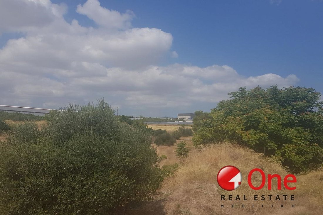 Land in Koinotita Oinophuton, Inofyta, Greece 1 - 17931669
