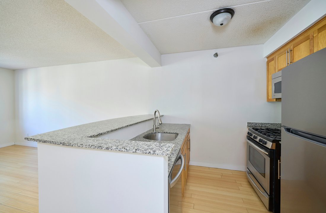 Condo in New York, New York, United States 4 - 17220343
