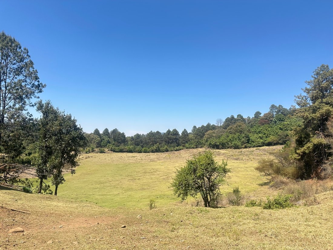 Land in San José Potrerillos, State of Mexico, Mexico 3 - 17930544