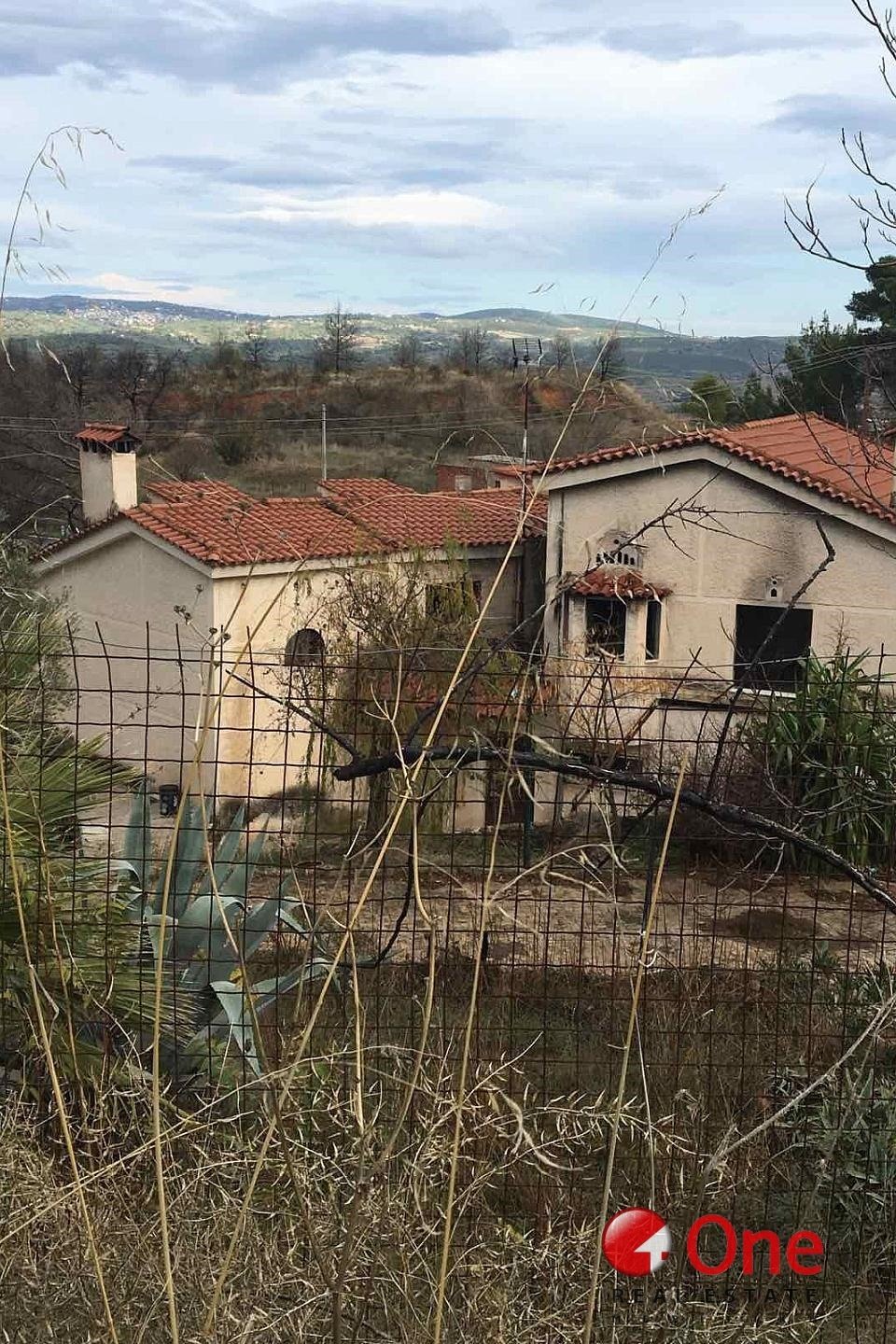 House in Oropos, Attica, Greece 2 - 17931544