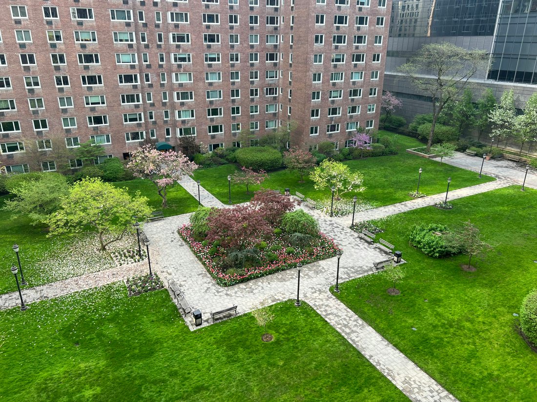 Co Op in New York, New York, United States 2 - 16906490