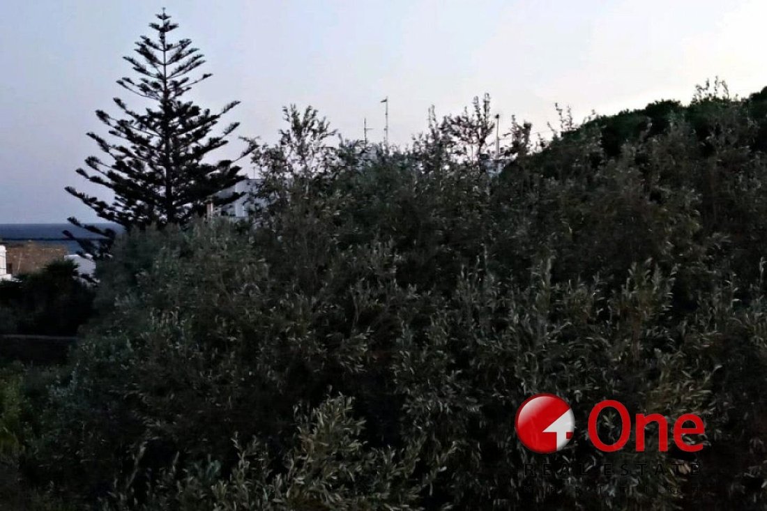 Land in Tinos, Aegean, Greece 3 - 17932213