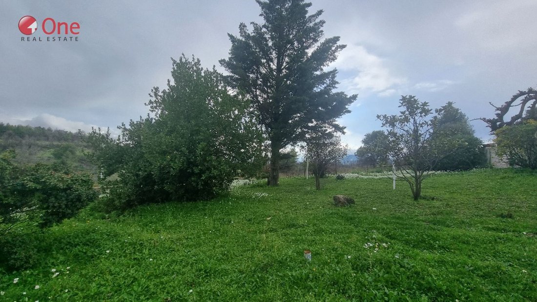 Villa in Oropos, Attica, Greece 1 - 17931035