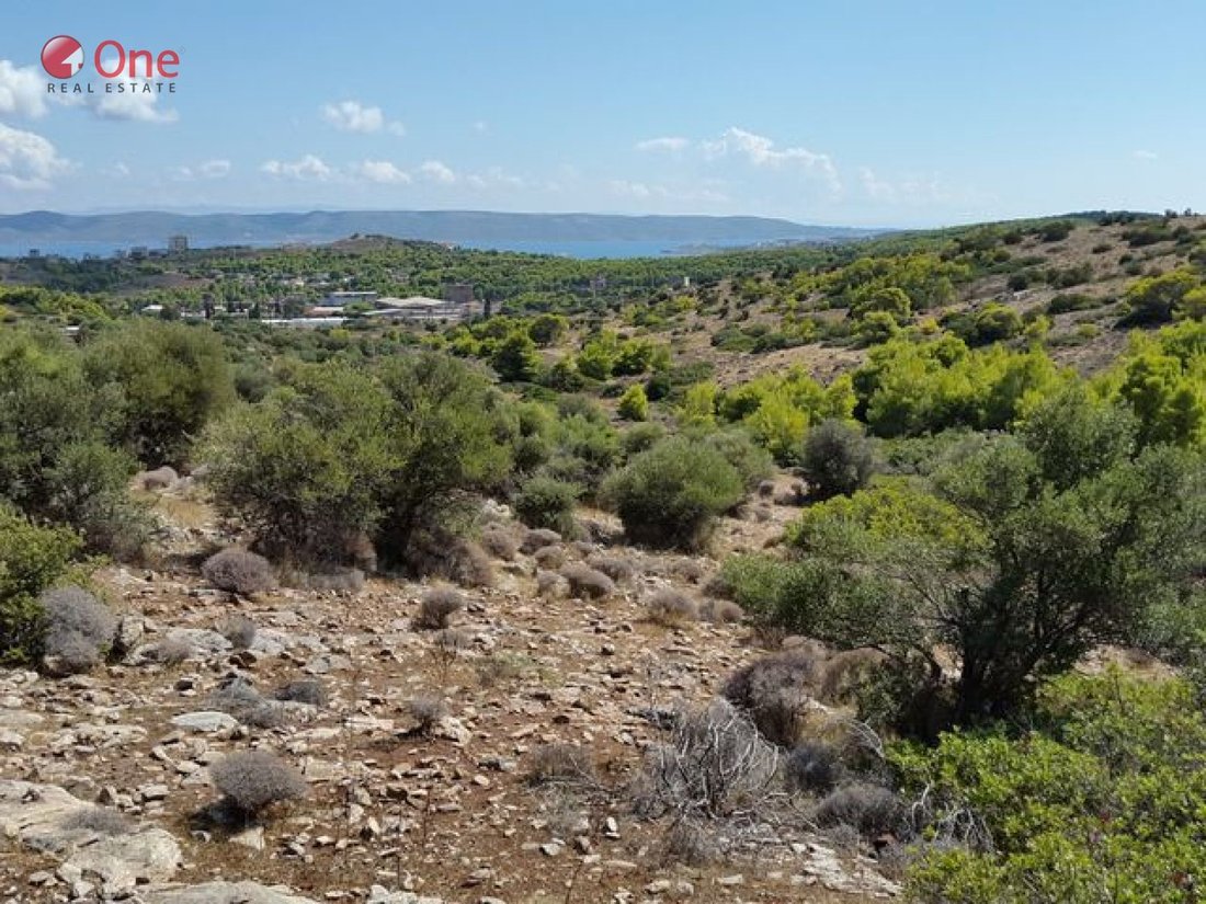 Land in Lavreotiki, Attica, Greece 1 - 17932199