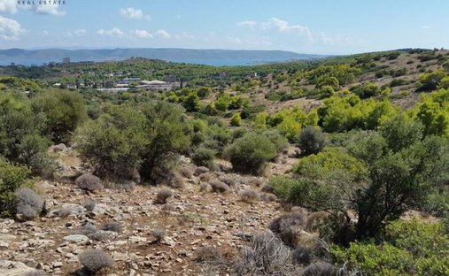 Land in Lavreotiki, Attika, Griechenland 1