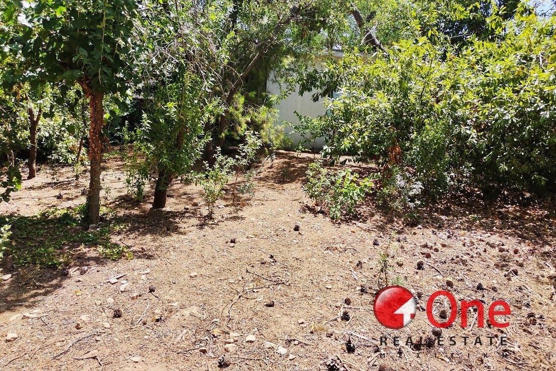 Land in Dionysos, Attica, Greece 5 - 17931536