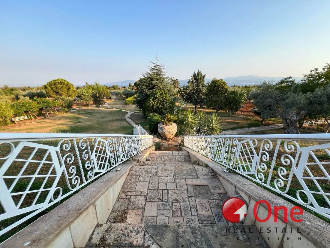 House in Amarynthos, Thessaly and Central Greece, Greece 5 - 17932065