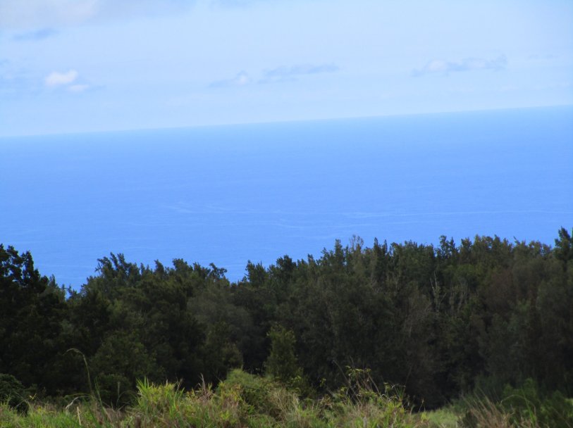 Land in Laupahoehoe, Hawaii, United States 5 - 17935041