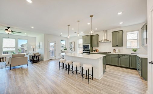 House in Liberty Hill, Texas, United States 1