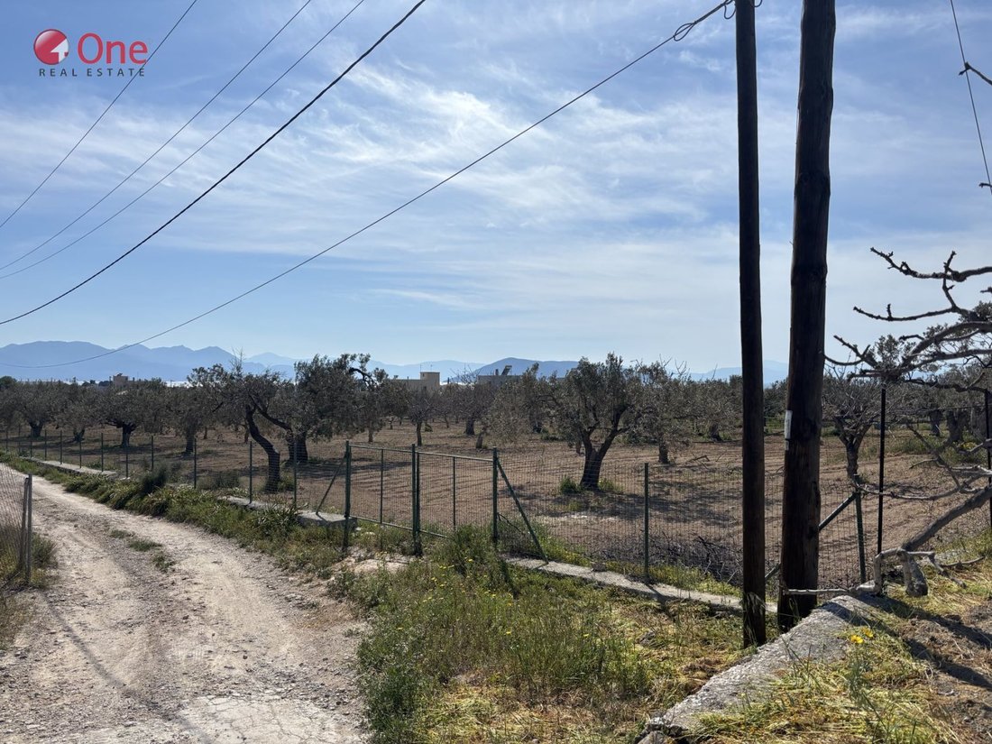 Land in Aegina, Attica, Greece 1 - 17930517