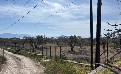 Land in Aegina, Attica, Greece 1