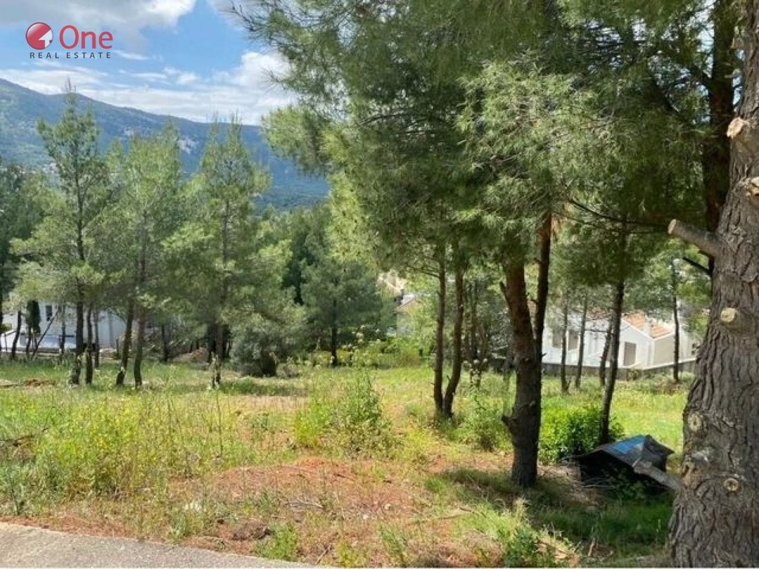 Land in Dionysos, Attica, Greece 4 - 17930322