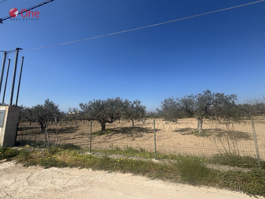 Land in Aegina, Attica, Greece 4 - 17930517