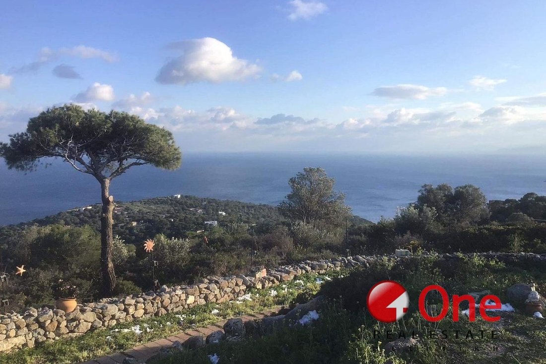 Land in Aegina, Attica, Greece 1 - 17930369