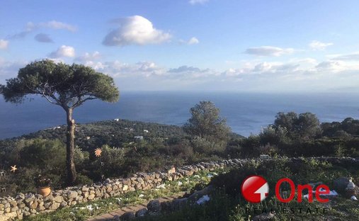 Land in Aegina, Attica, Greece 1