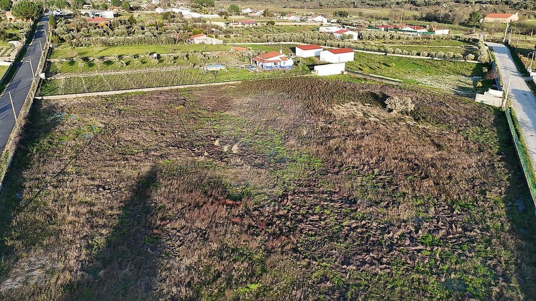 Land in Castelo Branco, Castelo Branco District, Portugal 3 - 17939443