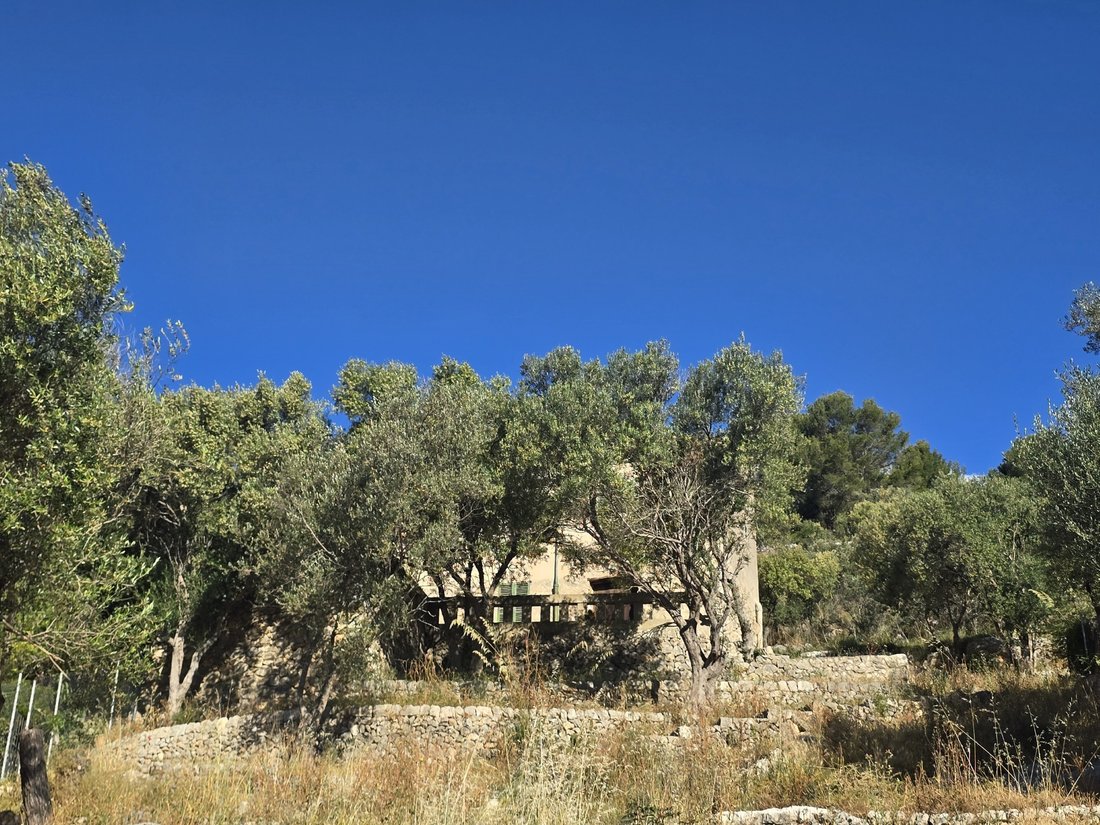 Land in Alaro, Balearic Islands, Spain 2 - 15906280