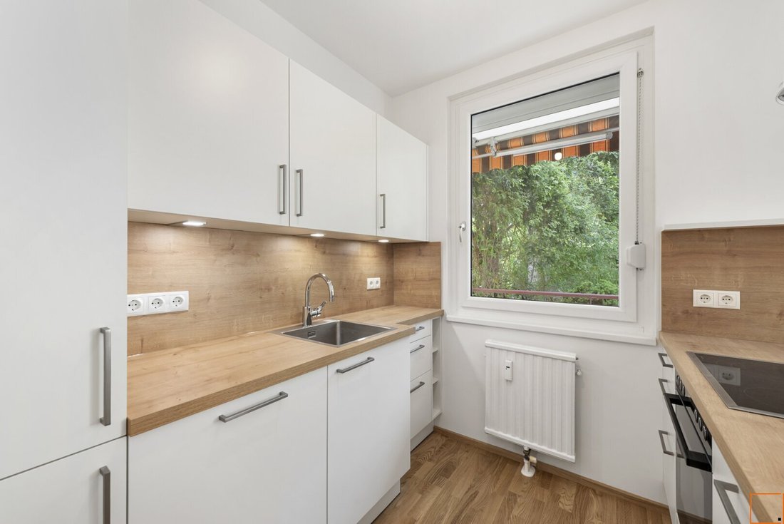 Apartment in Vienna, Wien, Austria 5 - 17938246
