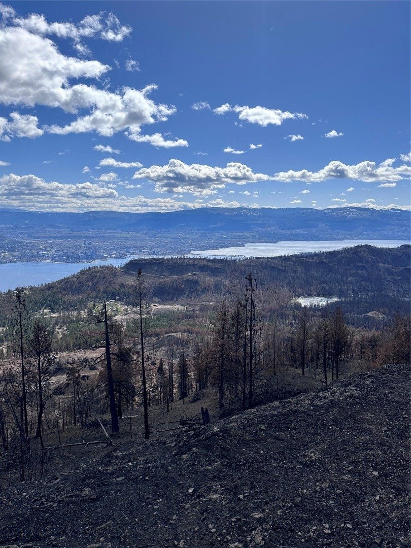 Land in West Kelowna, British Columbia, Canada 5 - 17941712
