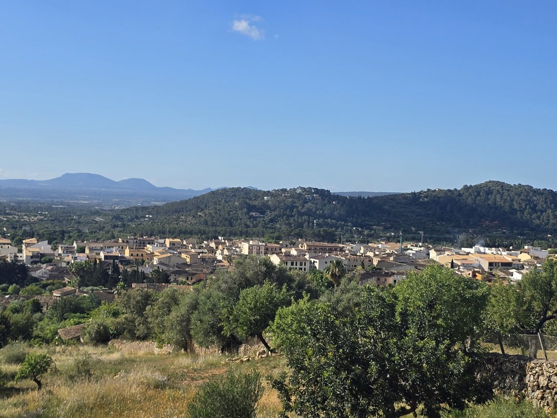 Land in Alaro, Balearic Islands, Spain 1 - 15906280