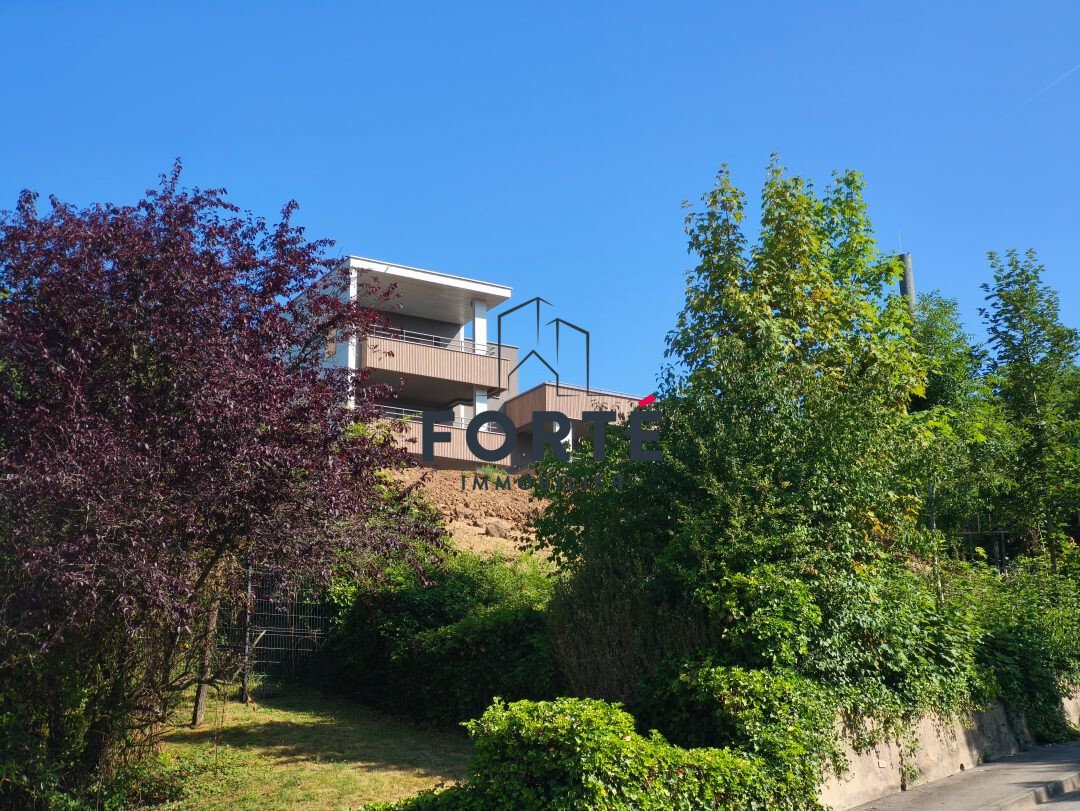 Apartment in Centre Ville, Thionville, France 1 - 17945069