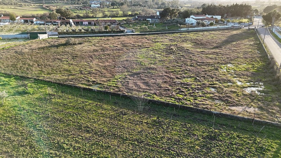 Land in Castelo Branco, Castelo Branco District, Portugal 5 - 17939443
