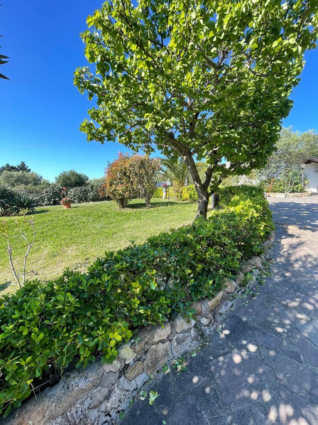 Villa in Rural Area - Poggio Tre Cancelli, Follonica, Tuscany 5 - 17910885