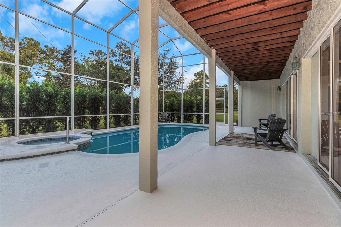 House in Trinity, Florida, United States 4 - 17720090
