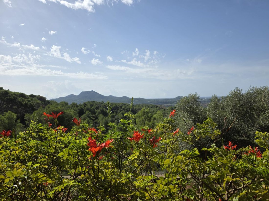 Finca in Felanitx, Balearic Islands, Spain 2 - 17945482