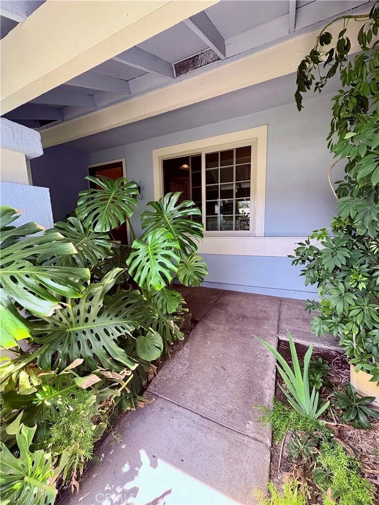 House in San Jose, California, United States 4 - 17410344
