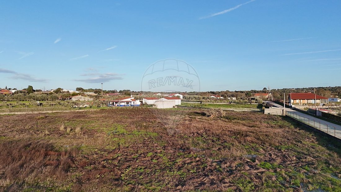Land in Castelo Branco, Castelo Branco District, Portugal 2 - 17939443
