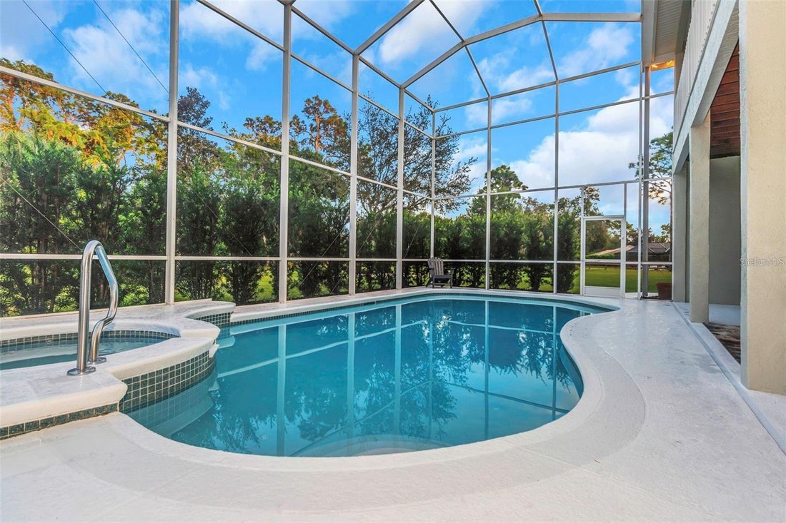 House in Trinity, Florida, United States 5 - 17720090