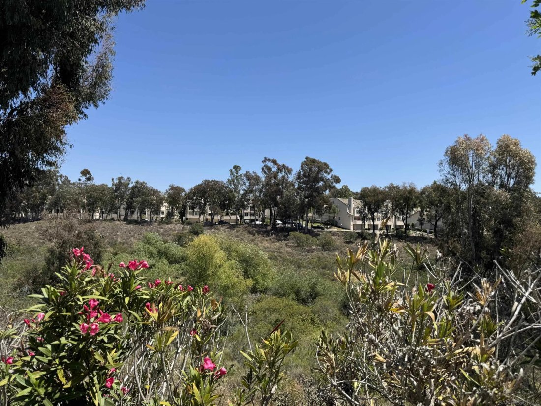 House in San Diego, California, United States 3 - 17931994