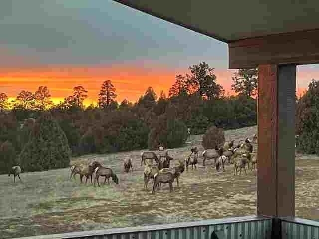 Chama, New Mexico, United States 2 - 17945348