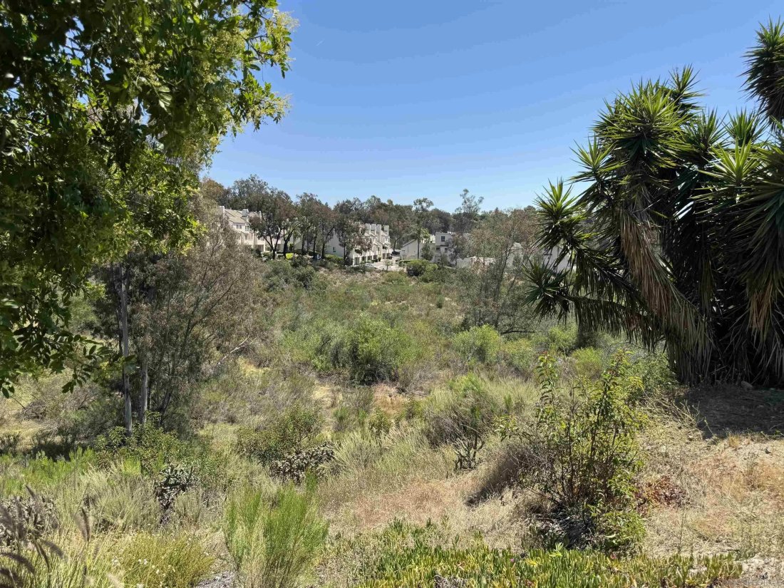 House in San Diego, California, United States 4 - 17931994
