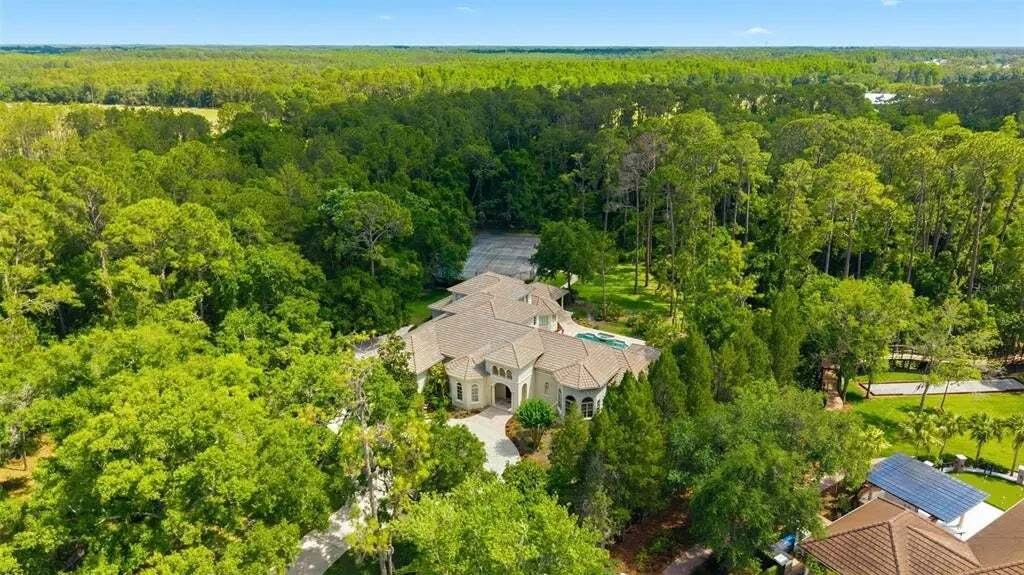 Casa a Odessa, Florida, Stati Uniti 2 - 17945131