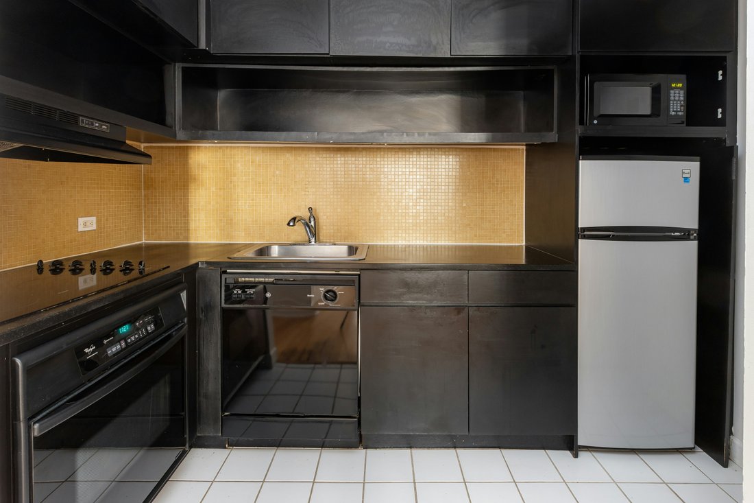 Condo in New York, New York, United States 4 - 16747624