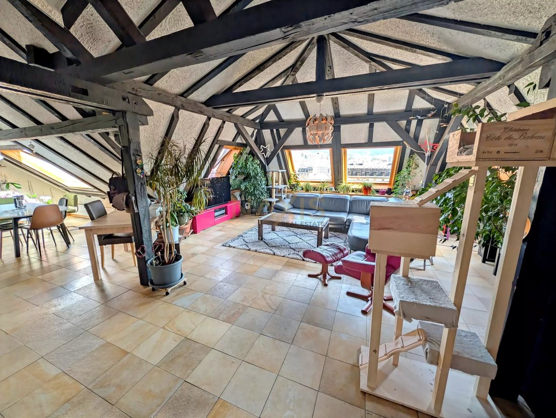 Spacious 7 Room Apartment With Fireplace In La Chaux De Fonds