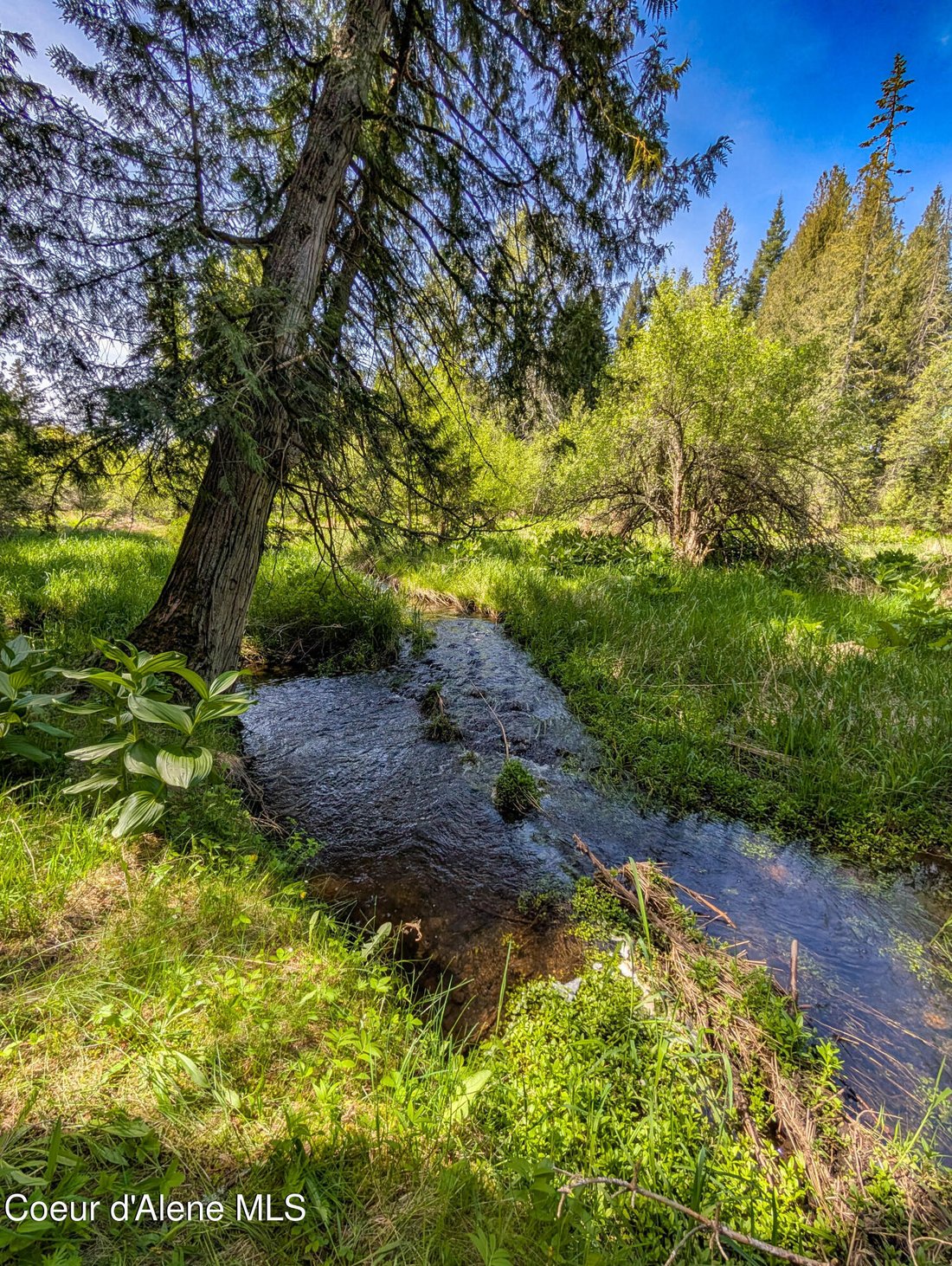House in Sagle, Idaho, United States 4 - 17942326