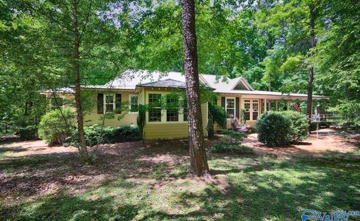 Haus in Mentone, Alabama, Vereinigte Staaten 1