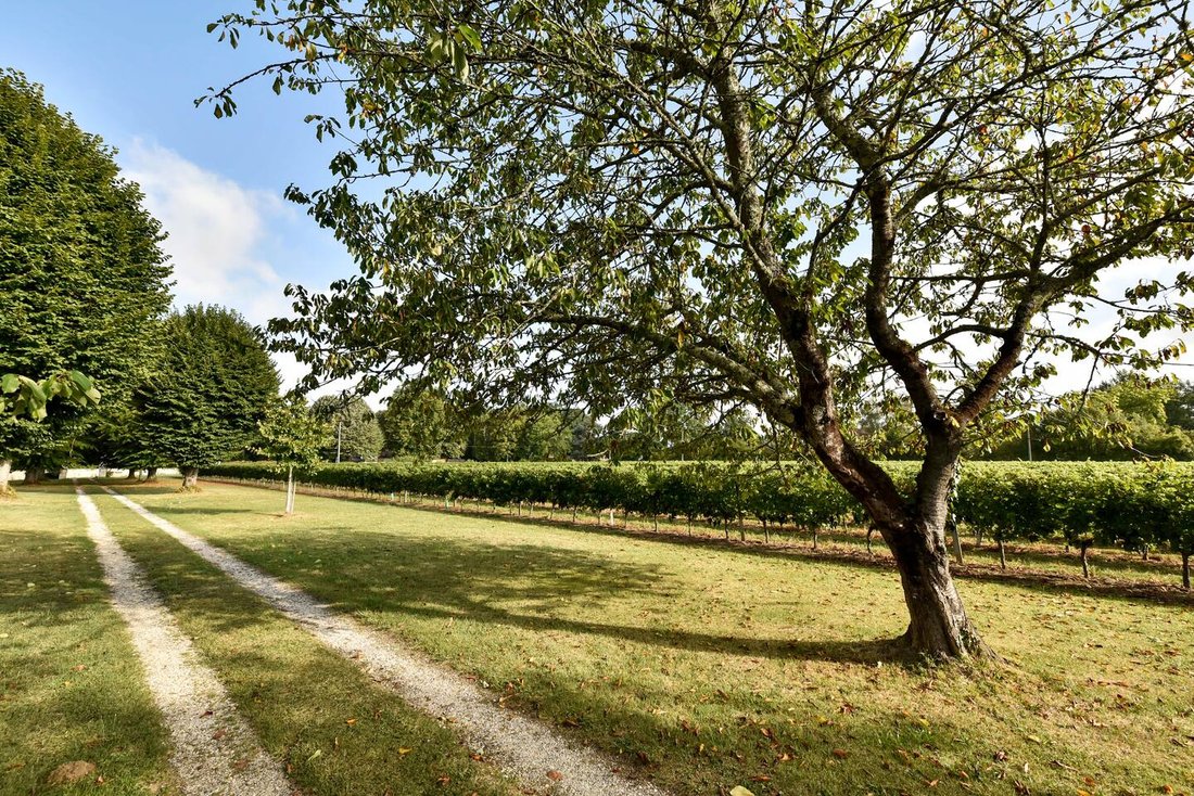 Villa in Latresne, Nouvelle-Aquitaine, France 4 - 17944777