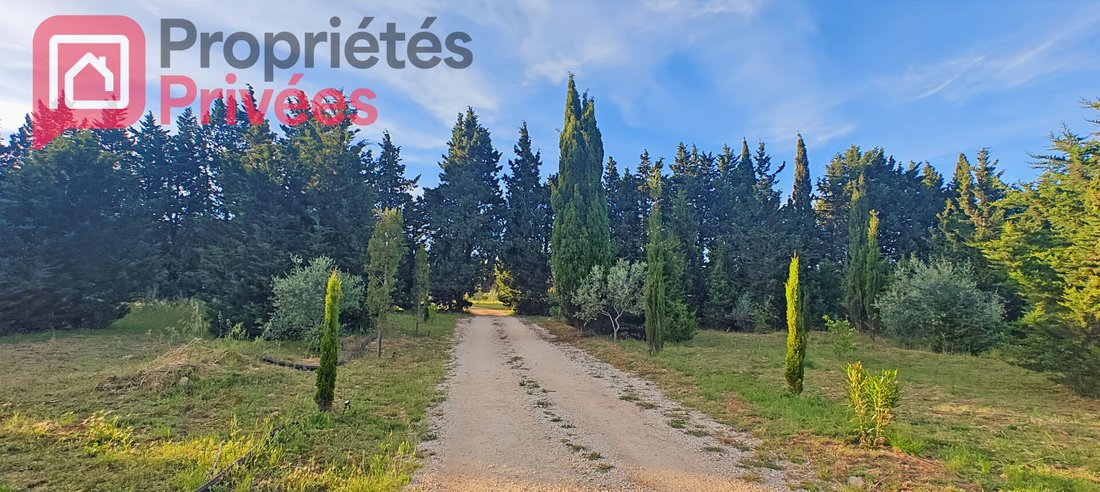Villa in Arles, Provence-Alpes-Côte d'Azur, France 5 - 17944784
