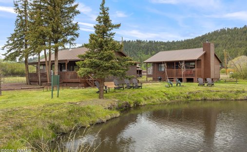 Greer, Arizona, United States 1