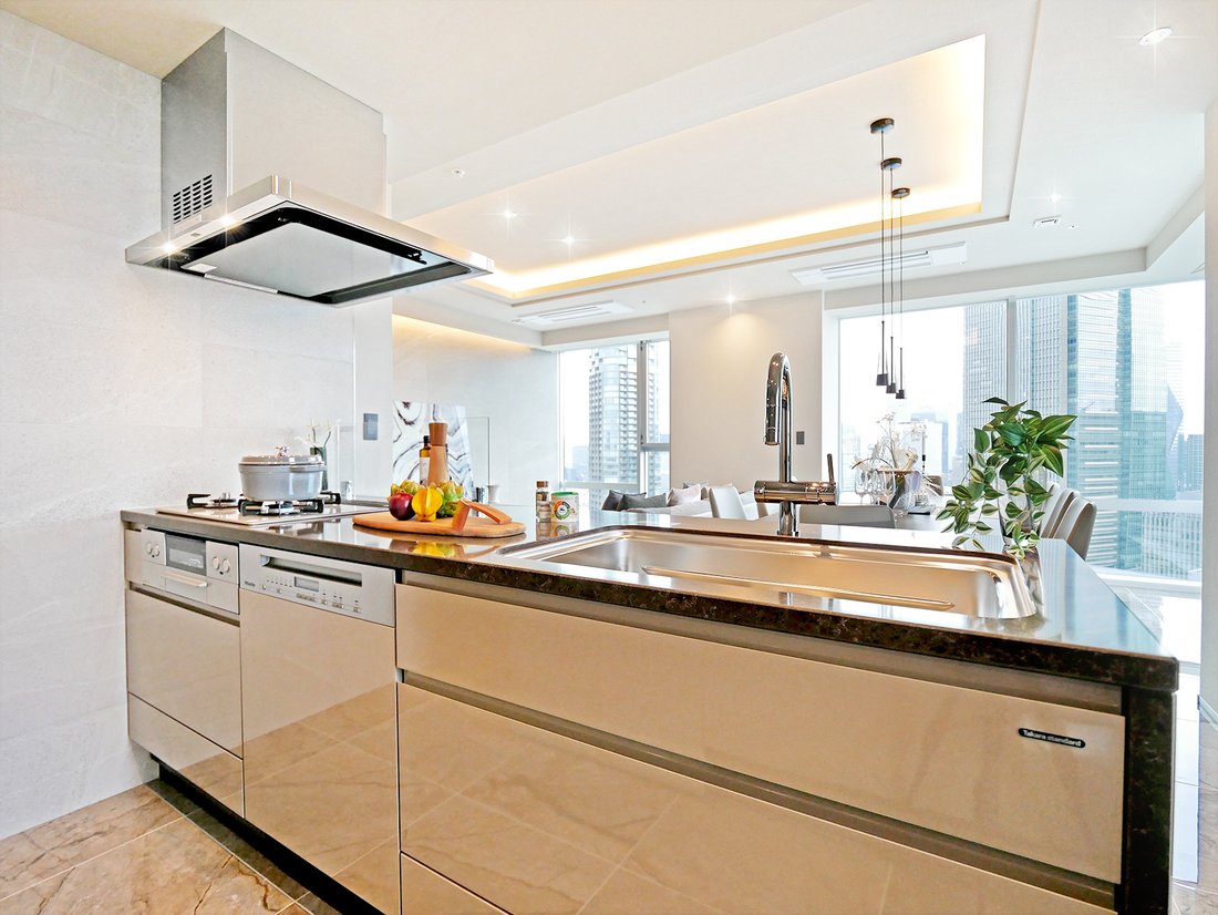 Penthouse in Minato City, Tokyo, Japan 4 - 17944578