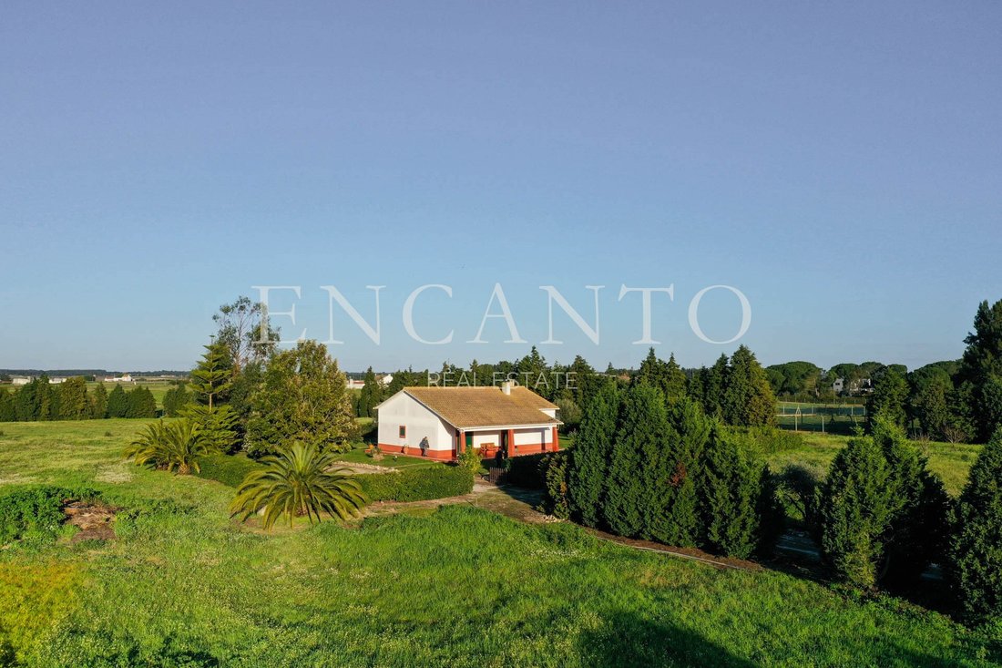 Finca in Pegoes, Setubal, Portugal 2 - 17946258