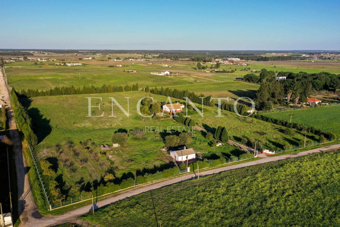 Finca in Pegoes, Setubal, Portugal 4 - 17946258